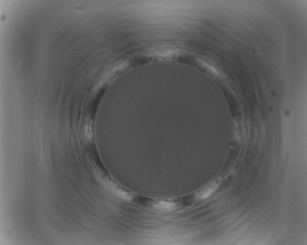 X0000058830718200510031347