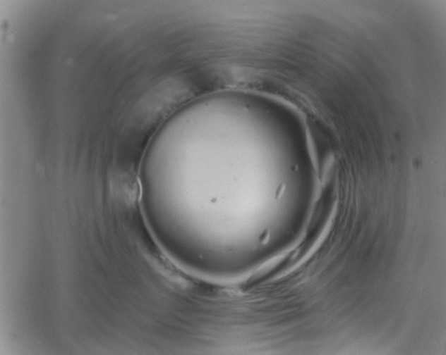 X0000058830719200510031347