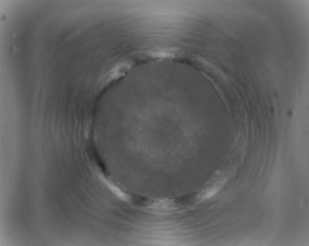 X0000058830720200510031347