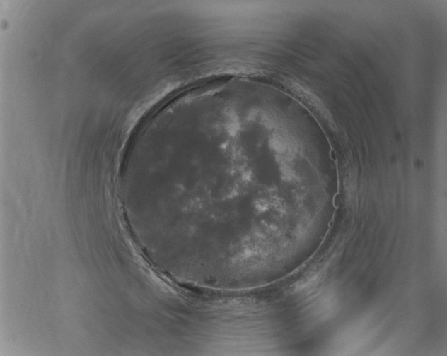 X0000058830721200510031346