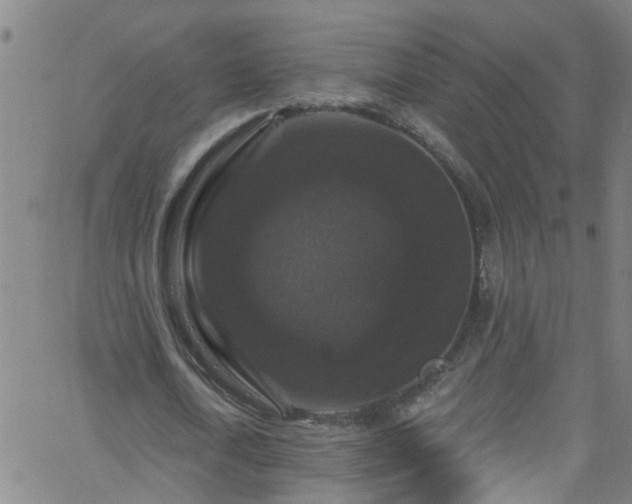 X0000058830722200510031346