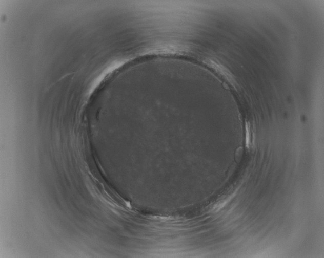 X0000058830723200510031346