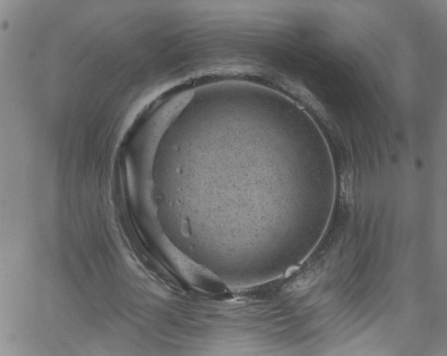 X0000058830724200510031346