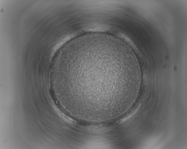 X0000058830725200510031346