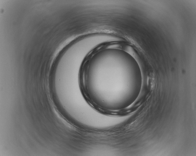 X0000058830726200510031346