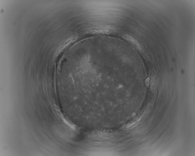 X0000058830729200510031346