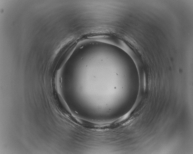 X0000058830731200510031346