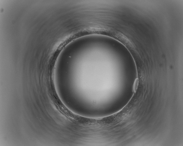 X0000058830732200510031346