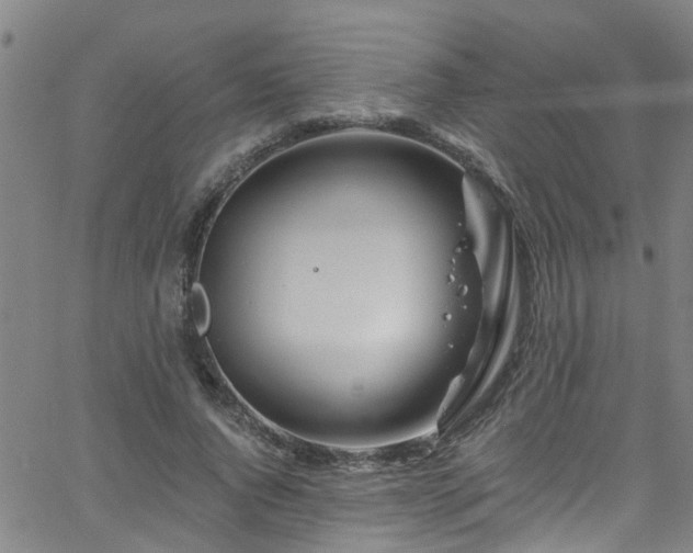 X0000058830736200510031346