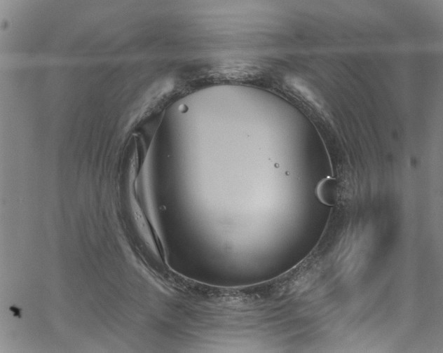 X0000058830738200510031346