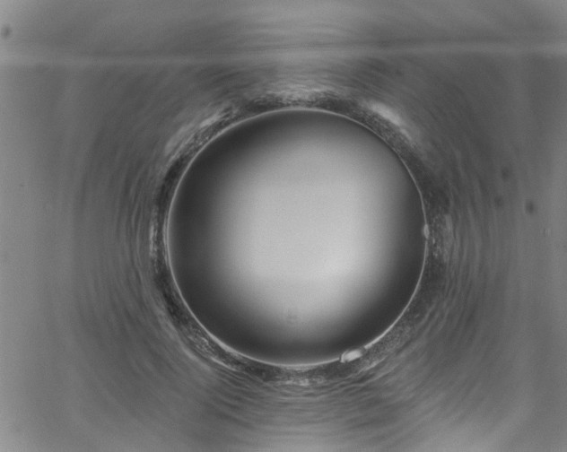 X0000058830740200510031346