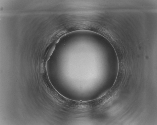 X0000058830741200510031346