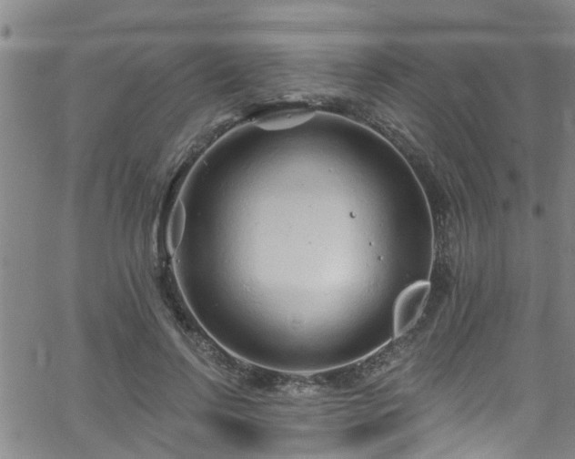 X0000058830742200510031346