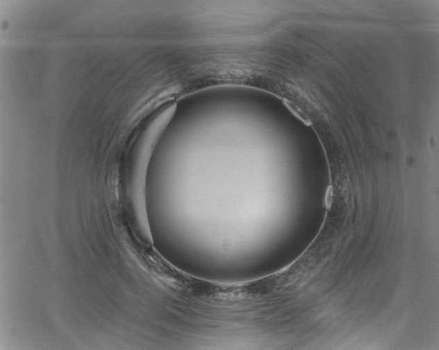 X0000058830744200510031346