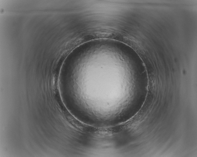 X0000058830745200510031346