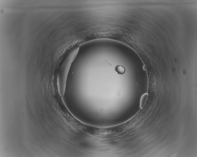 X0000058830746200510031346