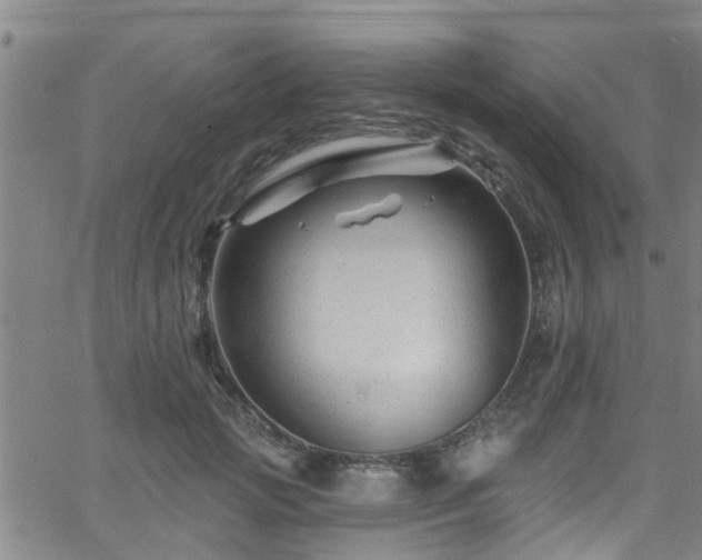 X0000058830749200510031346