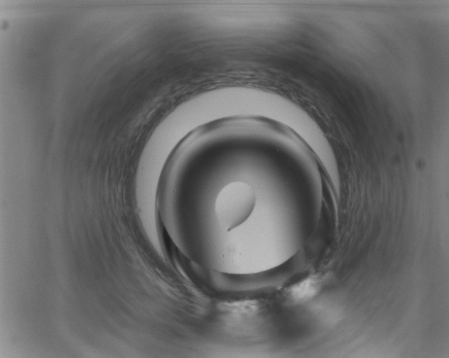 X0000058830750200510031346