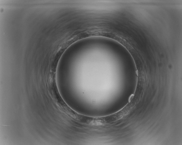 X0000058830751200510031346