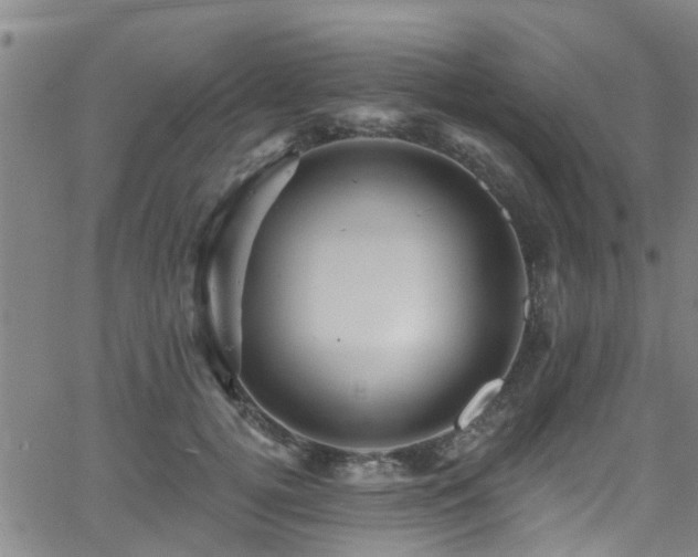 X0000058830752200510031346