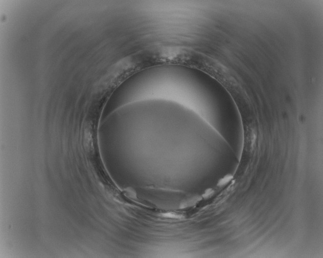 X0000058830754200510031346