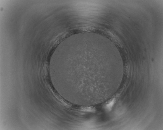 X0000058830757200510031346