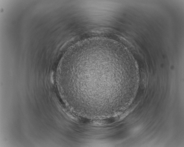 X0000058830758200510031346