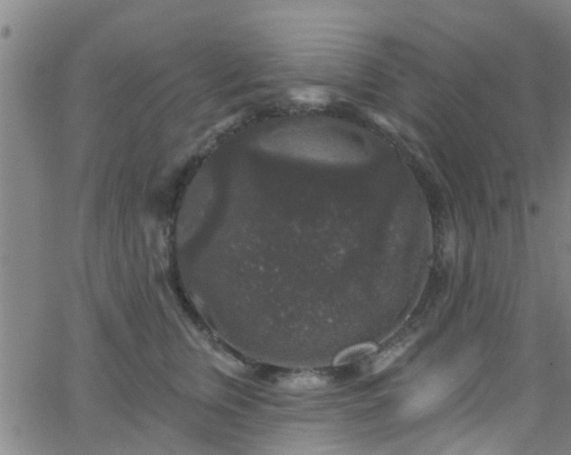 X0000058830759200510031346