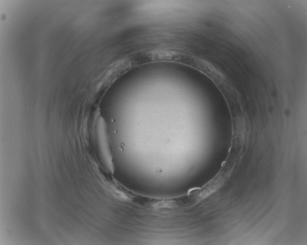 X0000058830761200510031346