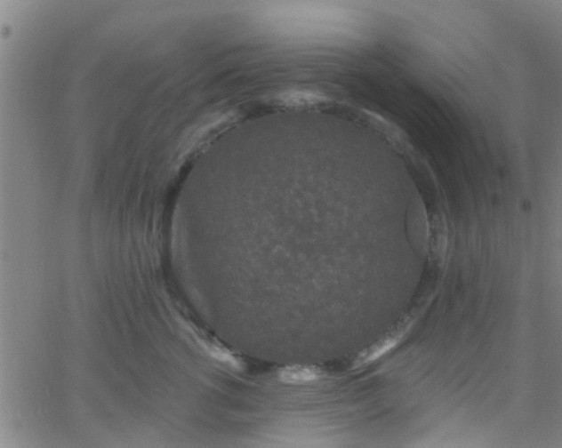 X0000058830762200510031346