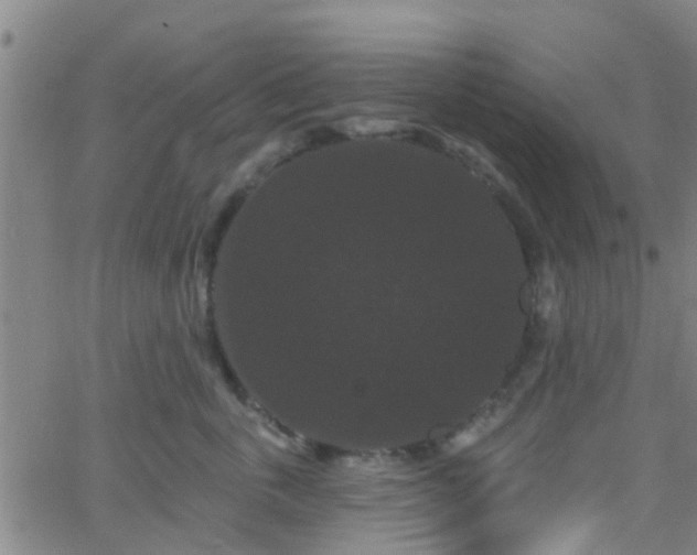 X0000058830763200510031346