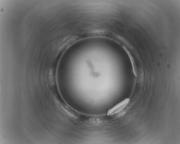 X0000058830764200510031346