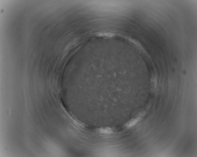 X0000058830765200510031346