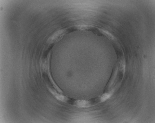 X0000058830766200510031346