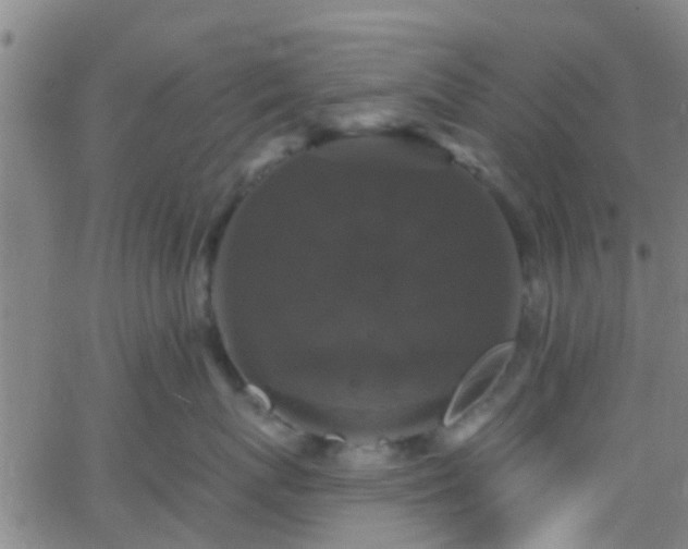 X0000058830767200510031346