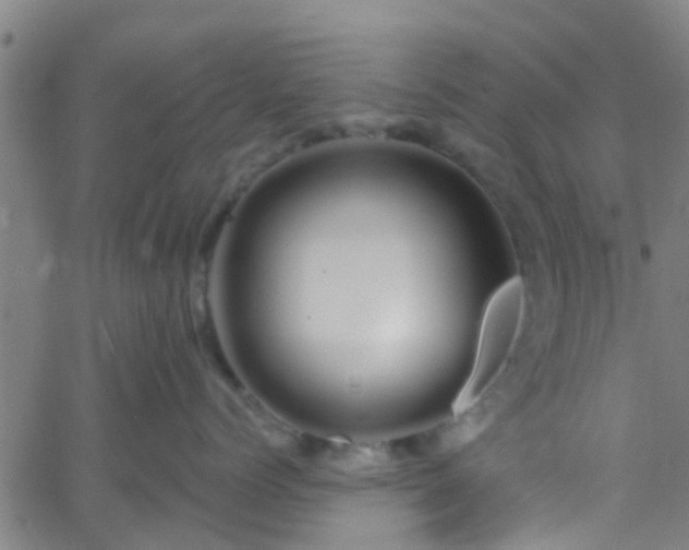 X0000058830768200510031347