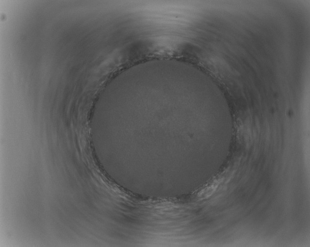 X0000058830769200510031346