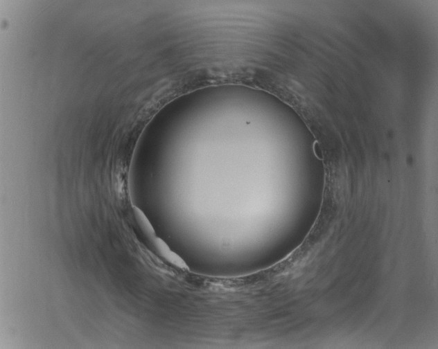 X0000058830770200510031346