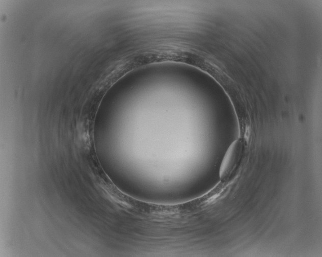 X0000058830771200510031346