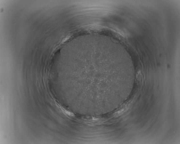 X0000058830772200510031346