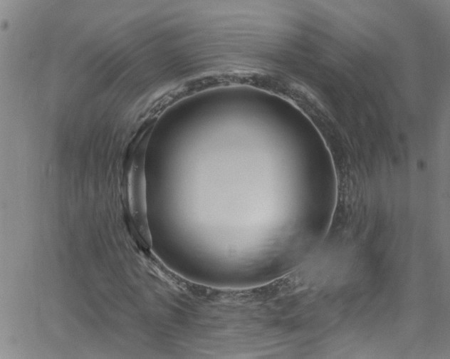 X0000058830773200510031346