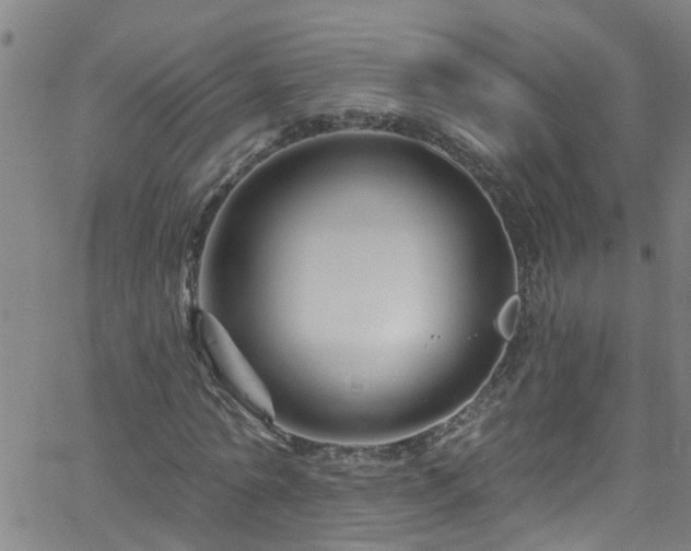 X0000058830774200510031346