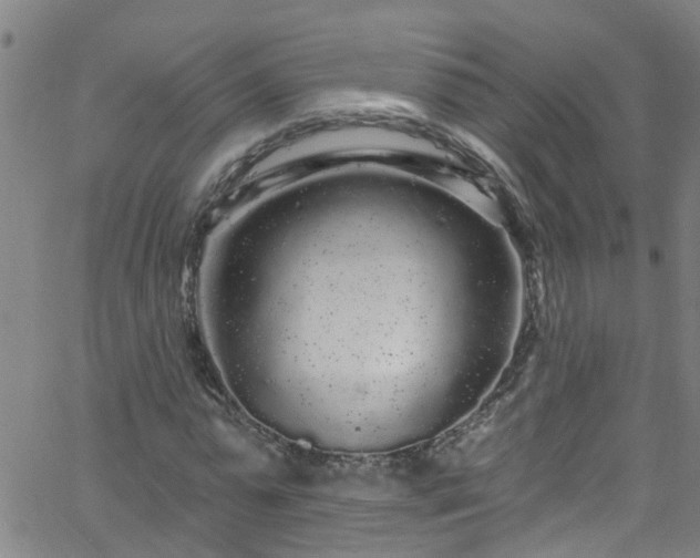 X0000058830775200510031346