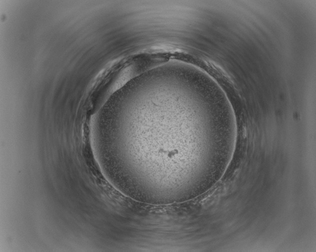 X0000058830776200510031346