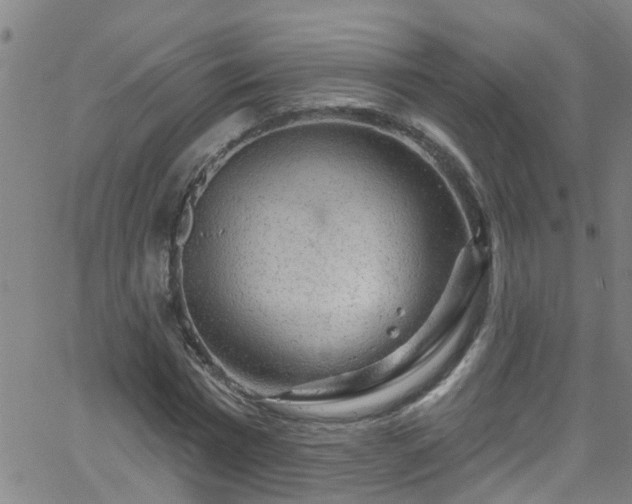 X0000058830777200510031346