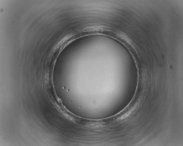 X0000058830778200510031346