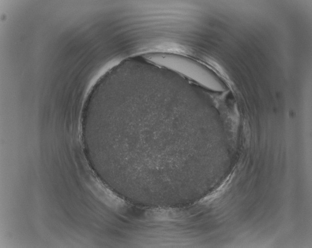 X0000058830780200510031346