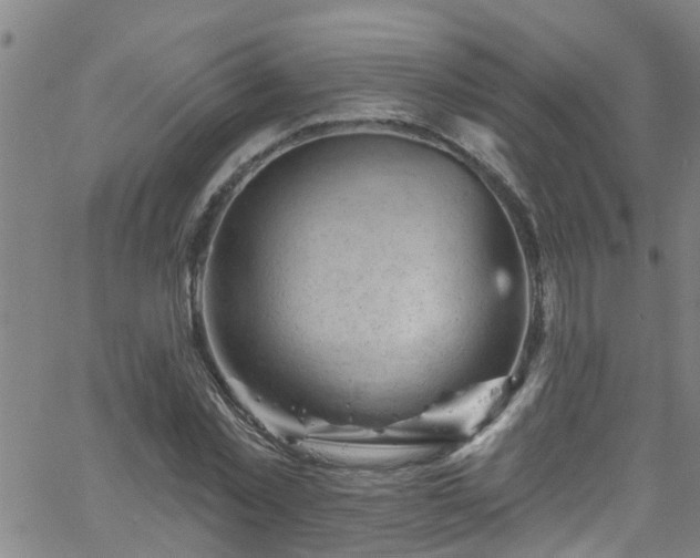 X0000058830781200510031346