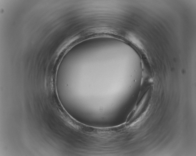 X0000058830782200510031345