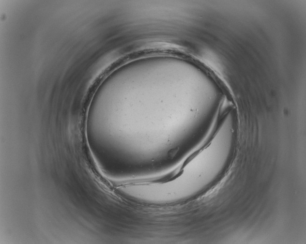 X0000058830783200510031345